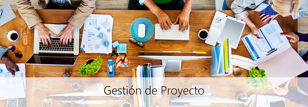 Gestion-de-proyectos